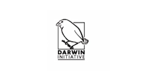 darwin