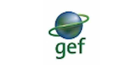 gef-01