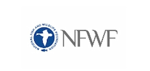 nfwf