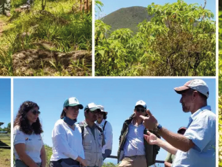 Guardaparques impartieron taller artístico en Floreana