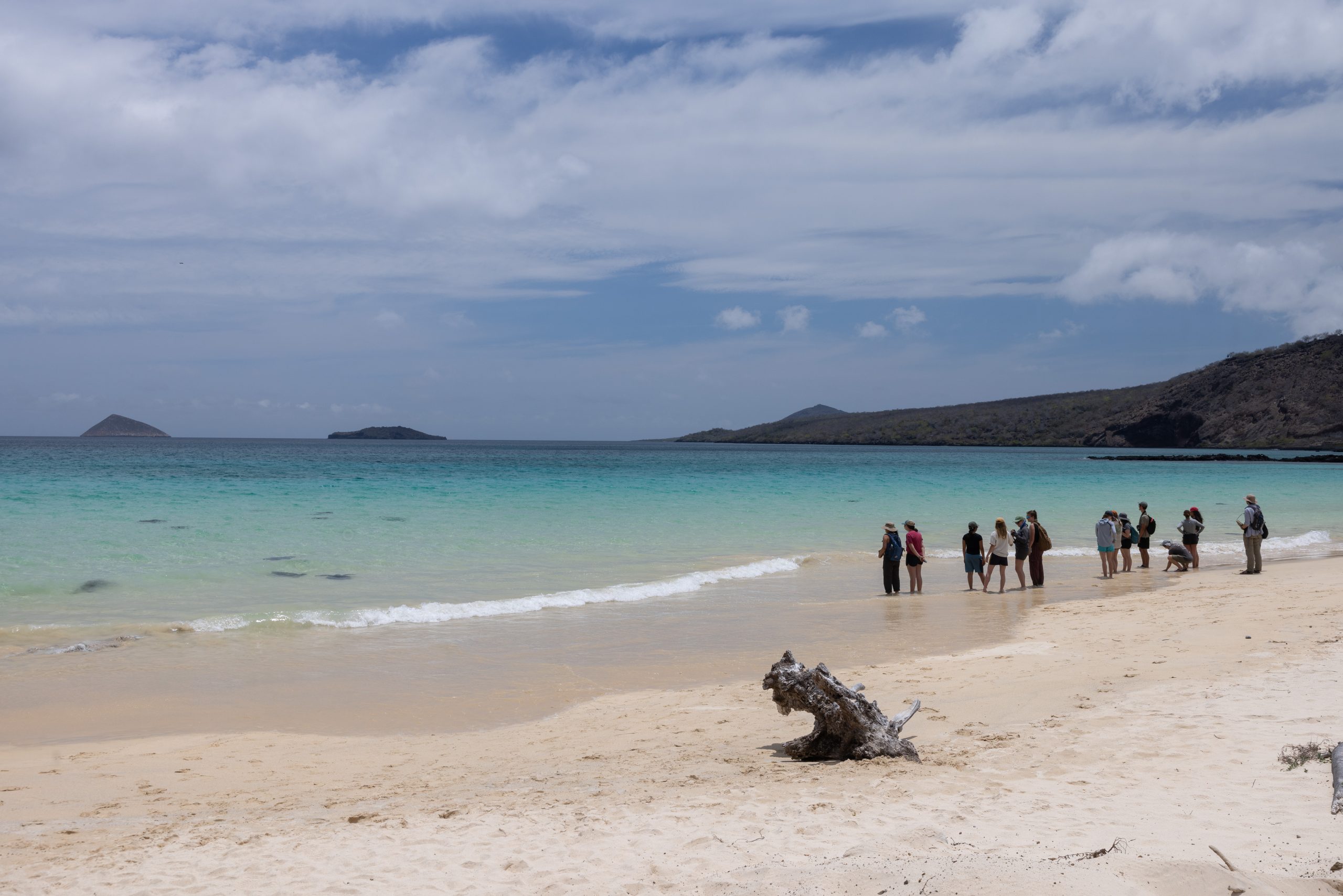 Marlondag - iLCP-Jocotoco_Floreana_277